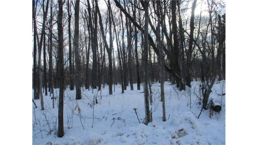 LOT #10 28th Street Birchwood, WI 54817 by Dane Arthur Real Estate Agency/Birchwood $14,000