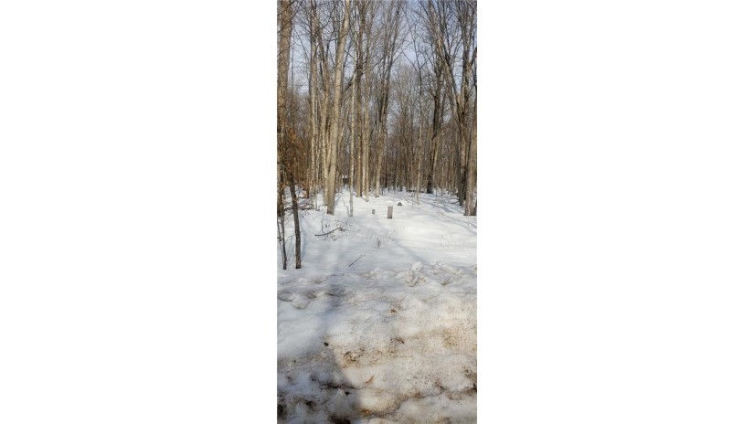 Lot 6 28 1/4 Street Birchwood, WI 54817 by Jenkins Realty Inc $21,500