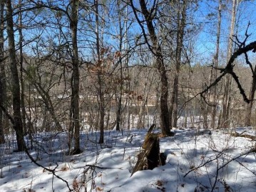 Lot 1 Manotick Lane, Trego, WI 54888