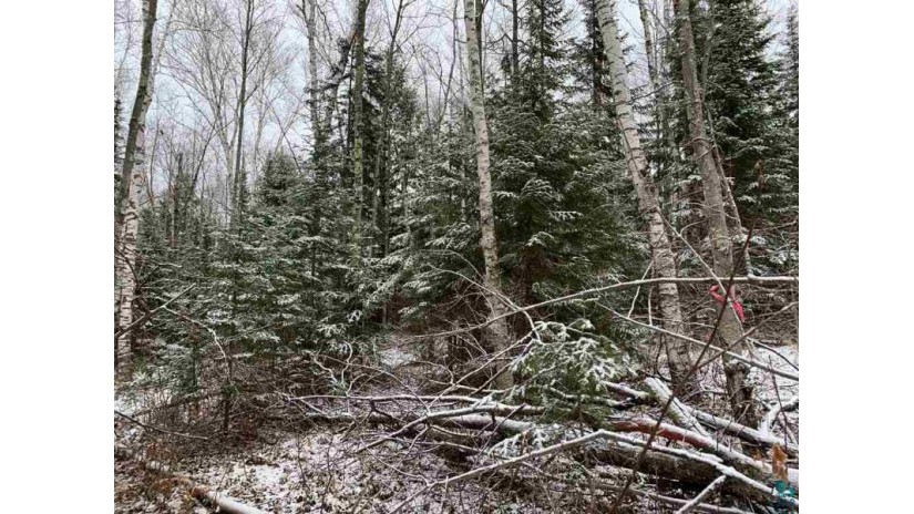 Lot 1 Blue Wing Bay Rd Bayfield, WI 54814 by Edina Realty, Inc. $62,500