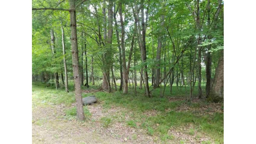 L30 Fur Dr Springville, WI 53965 by Bunbury, Realtors-Wis Dells Realty $13,000