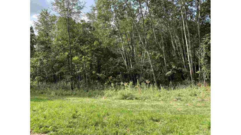 LOT 3 CSM 14964 County Road Bb Deerfield, WI 53531 by Imhoff Real Estate $159,900