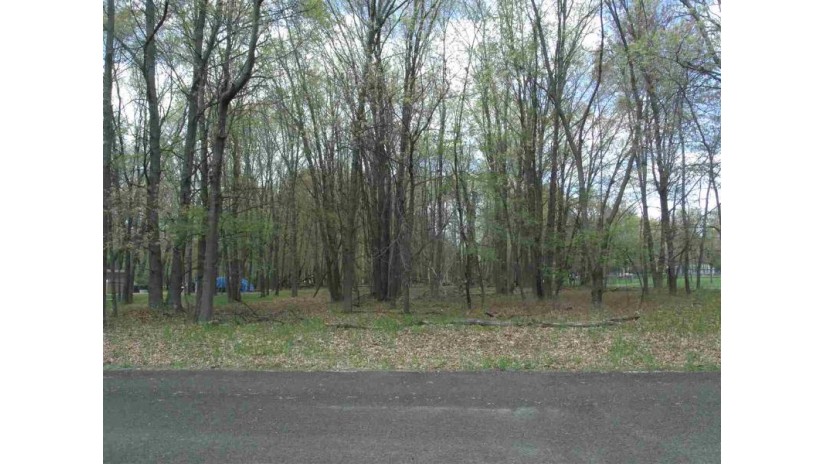 L24 Huron Bay Dr Mecan, WI 53949 by Whitemarsh Properties Llc $11,900