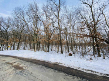 LOT 62 Christmas Mountain Rd, Dellona, WI 53965