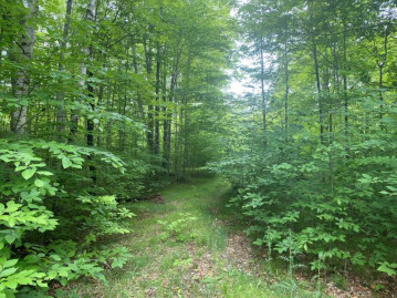 TBD Forestview Rd, Washington Island, WI 54246