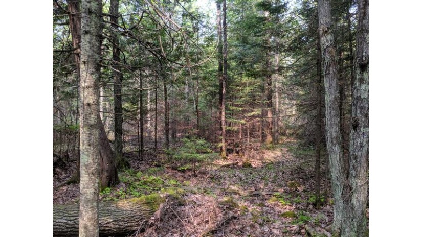 On Pixley Shores Rd W Lot 3 Lake, WI 54552 by Re/Max New Horizons Realty Llc $19,900