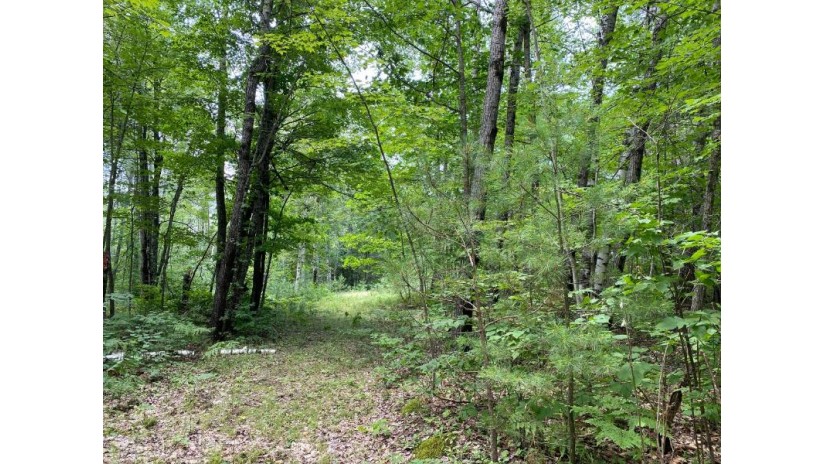 Near 234 Wykowski Rd Three Lakes, WI 54562 by Miller & Associates Realty Llc $25,000