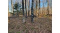 On Sand Cove Pointe Rd Park Falls, WI 54552 by Birchland Realty Inc./Park Falls $29,900
