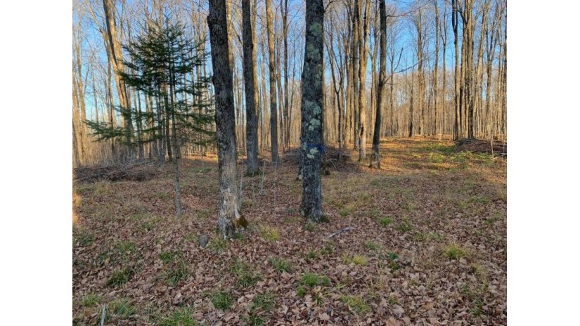 On Sand Cove Pointe Rd Park Falls, WI 54552 by Birchland Realty Inc./Park Falls $29,900