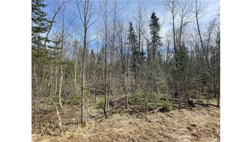 0 State Highway 178 Jim Falls, WI 54748 by Woods & Water Realty Inc/Regional Office $19,900