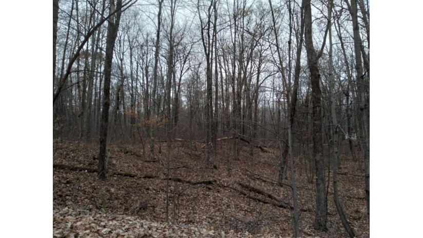 Lot 0 Post Avenue Hayward, WI 54843 by C21 Woods To Water $7,500