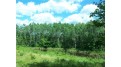 Lot 3 Ashtons Way Webster, WI 54893 by Lakeside Realty Group $73,000