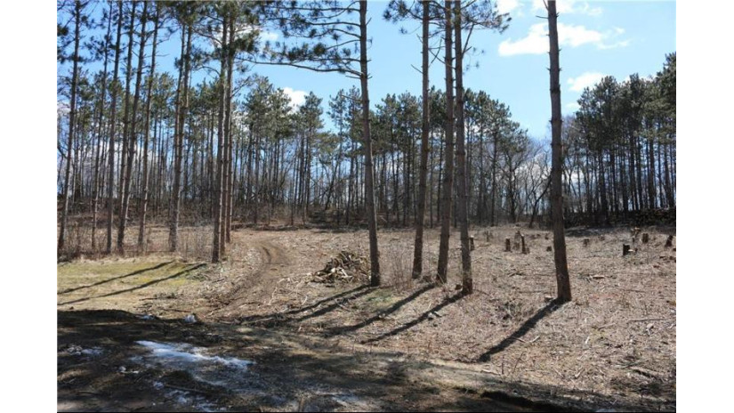 Lot 5 877th Avenue River Falls, WI 54022 by Diamond Lakes Realty Llc $155,000