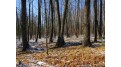 Parcel 14 Forest Edge Road Westboro, WI 54490 by Dixon Greiner Realty, Llc $29,900
