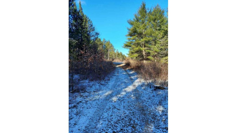 181 Acres Bell Road Wisconsin Rapids, WI 54494 by Exit Greater Realty $429,000