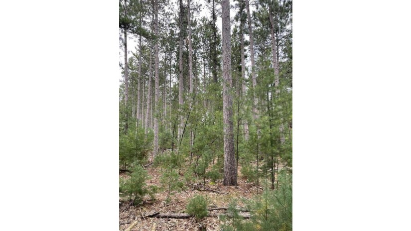 4.28 Acres Townline Road Lot 10 Of Wccsm 1097 Wisconsin Rapids, WI 54494 by Re/Max Connect $52,000