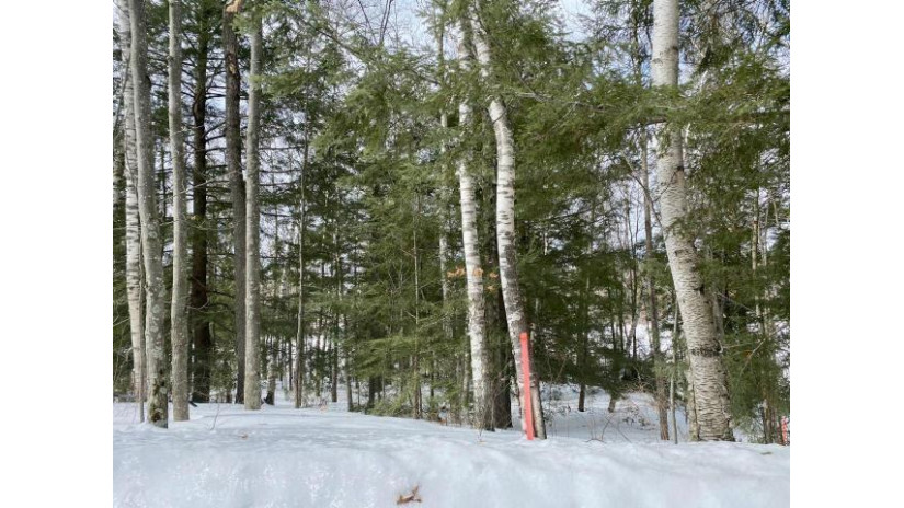 Lot 4 Birch Point Road Upham, WI 54485 by Integrity Realtors Llc $250,000