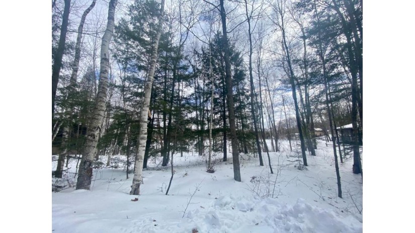 Lot 3 Birch Point Rd Summit Lake, WI 54485 by Integrity Realtors, Llc $200,000