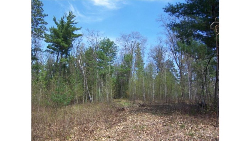 Lots 50 and 51 County Rd H Danbury, WI 54830 by Lakeside Realty Group $38,500