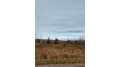 79 Acres County Hwy M Augusta, WI 54722 by Nexthome Wisco Success $249,900