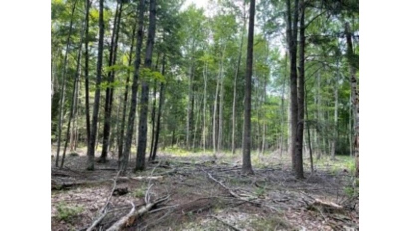 33.45 Acres County Road Ff Wausau, WI 54401 by Re/Max Excel $119,900