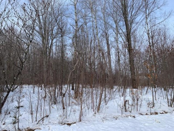 Lot 2 Willow Lane, Hatley, WI 54440