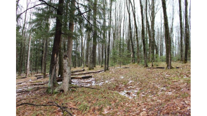 On Cth K 14.6 Acres Conover, WI 54519 by Century 21 Burkett - Lol $69,000
