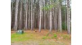 Lot 2&3 Forest Rd Tomahawk, WI 54501 by Re/Max Property Pros $21,000