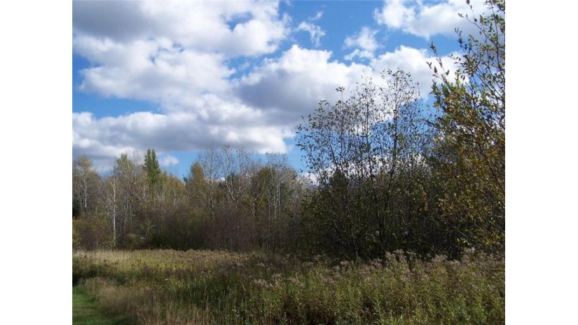0 Lake Winter Rd Road Winter, WI 54896 by Petit Realty $9,900