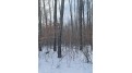 .57 acres Bald Eagle Dr Trego, WI 54888 by Benson Thompson Inc $15,900