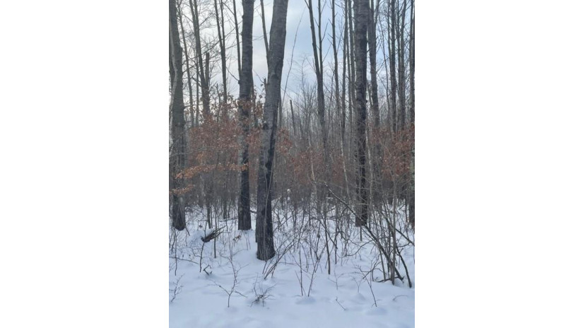 .57 acres Bald Eagle Dr Trego, WI 54888 by Benson Thompson Inc $15,900