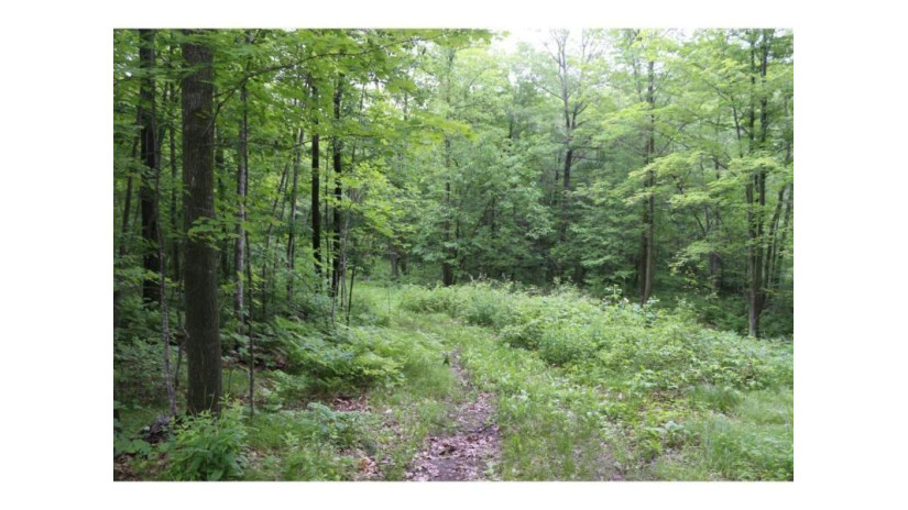 Lot 12 Eagle View Court Minong, WI 54859 by Edina Realty, Corp. - St Croix Falls $29,000