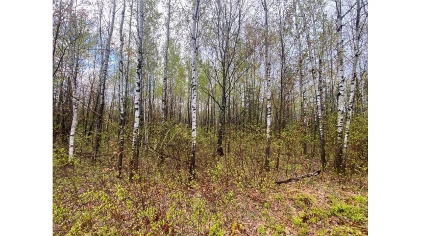 10 Acres (Par 2) Denver Road Gordon, WI 54838 by Re/Max 4 Seasons, Llc $39,900