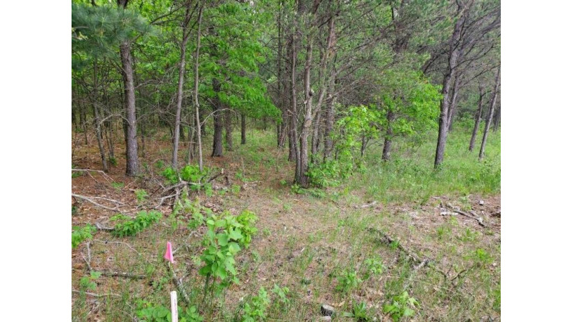 Lot 1 Lincoln Dr Fall Creek, WI 54742 by Northland Group Real Estate $44,500