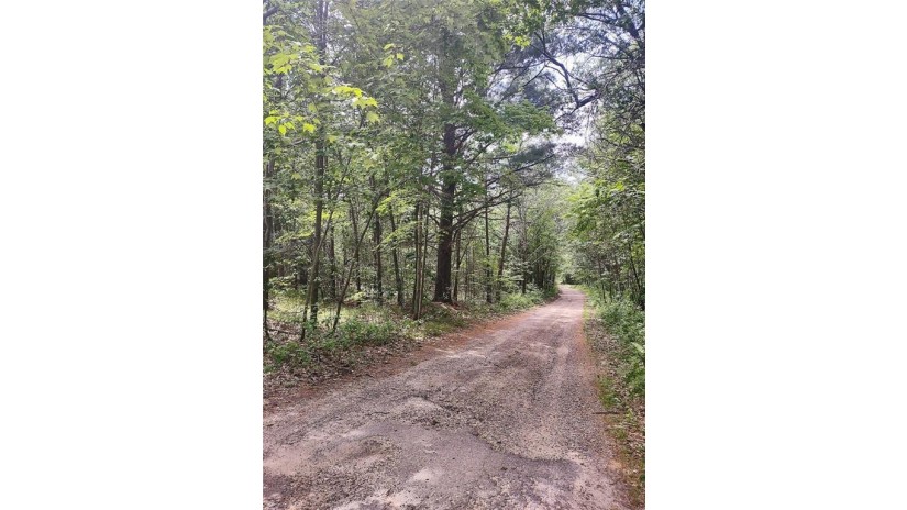 19.3 acres Goldsmith Road Black River Falls, WI 54615 by Hansen Real Estate Group $99,900