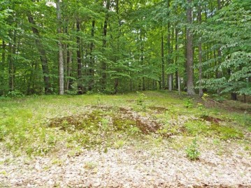 Hemlock Shores Court, Silver Cliff, WI 54102