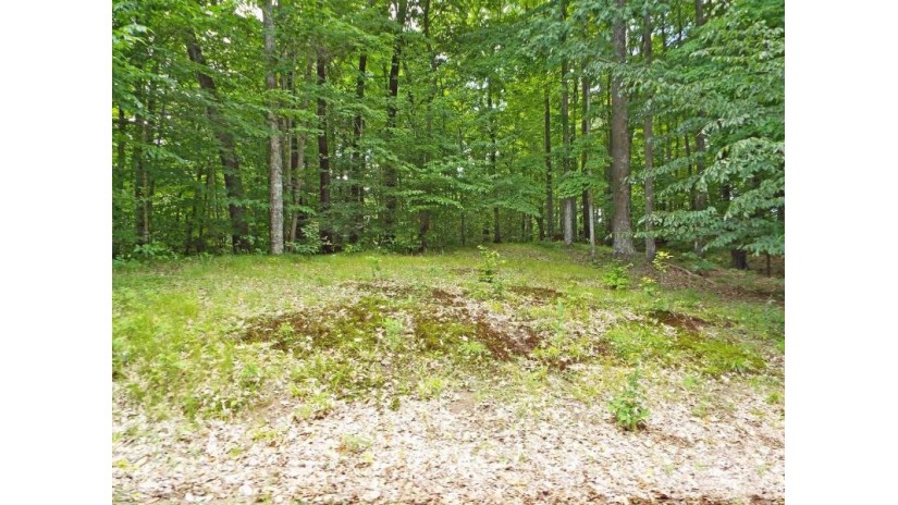 Hemlock Shores Court Silver Cliff, WI 54102 by BayView Real Estate $18,300