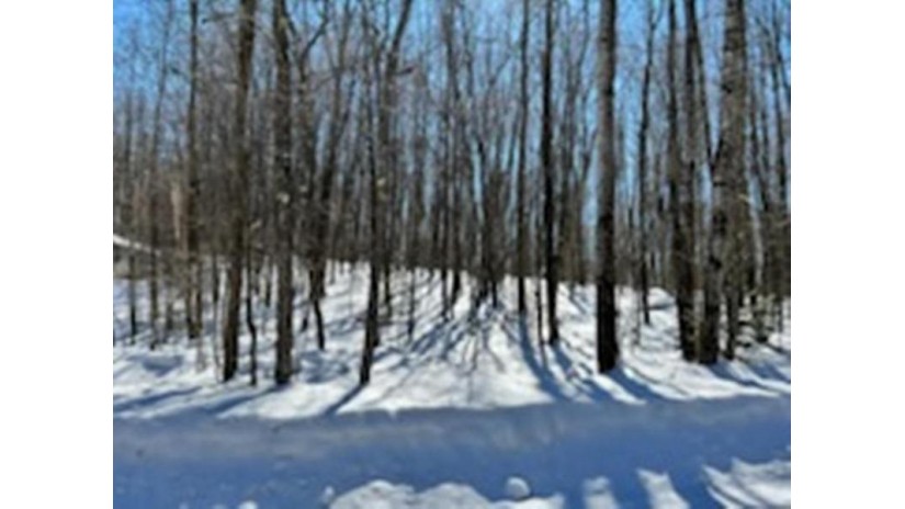 Deer Trail Road Valley Plat Lot 17 White Lake, WI 54491 by North Central Real Estate Brokerage, Llc $18,890