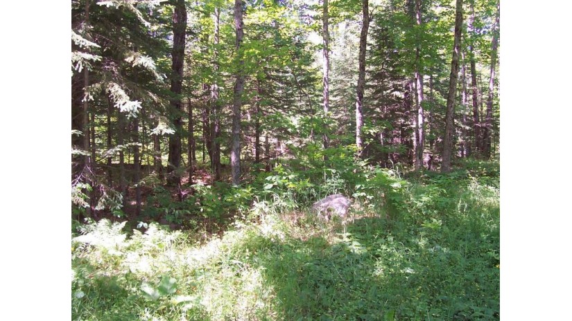 On Bass Lake Rd Watersmeet, MI 49969 by Eliason Realty - Land O Lakes $19,900