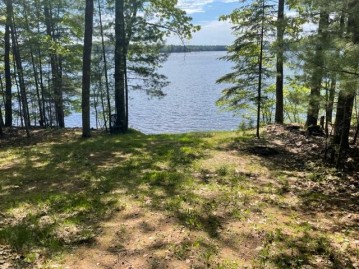 On Van Bussum Rd Lot 1, Three Lakes, WI 54562