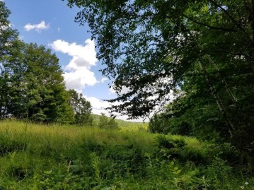 Lot 16 Alpine Shores Dr, Anderson, WI 54565