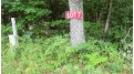 LOT 7 Cty Rd X Webster, WI 54893 by Woods & Water Real Estate Llc, Ellsworth $28,900