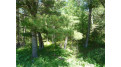 Lot 6 Bushey Road Webster, WI 54893 by C21 Sand County Services Inc $22,000