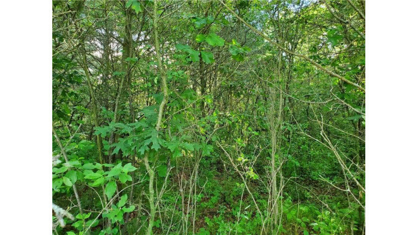 Lot 6 Hwy 27 Black River Falls, WI 54615 by Cb River Valley Realty/Brf $39,000