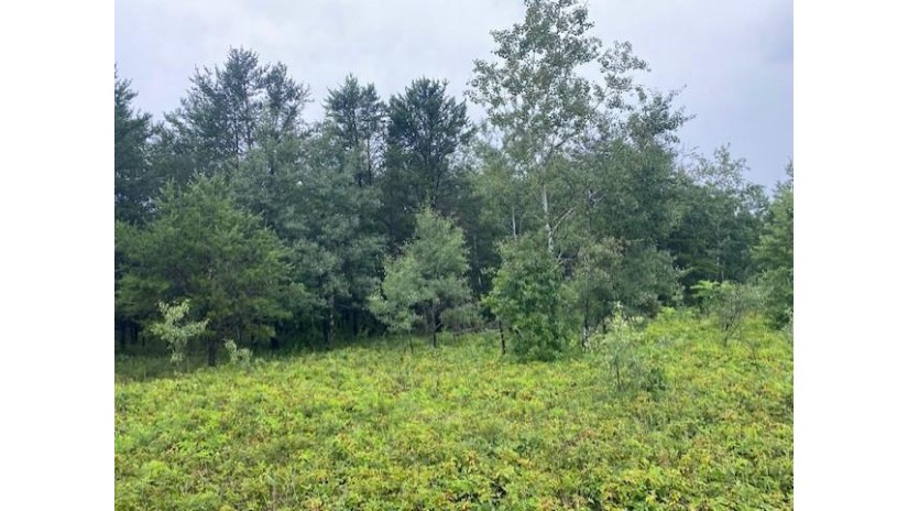 Lot 2 River Ridge Circle Plover, WI 54467 by First Weber $50,900