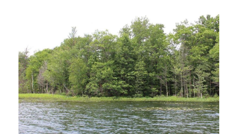 On Squirrel Lake Rd W Minocqua, WI 54548 by Shorewest Realtors $129,900