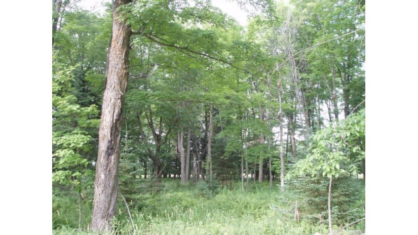 On North River Road Park Falls, WI 54552 by Birchland Realty Inc./Park Falls $15,900