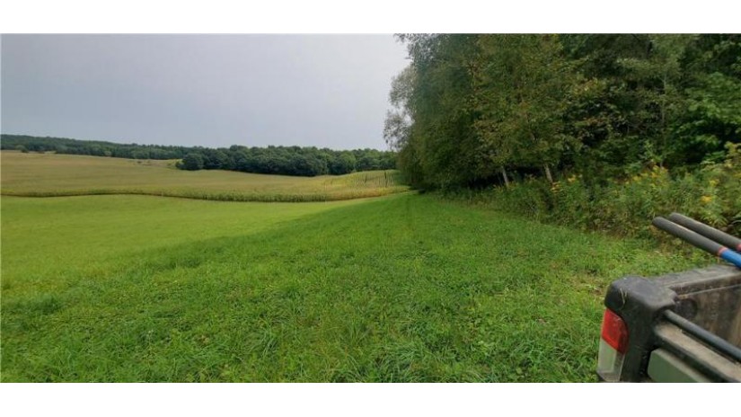 S14225 State Road 93 Eleva, WI 54738 by Nexthome Wisco Success $180,000