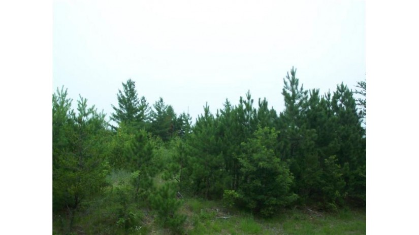 Lot 2 Black Brook Road Webster, WI 54893 by Lakeside Realty Group $30,000