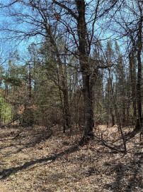 Lot 2 Black Creek Road, Fairchild, WI 54741